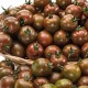 Domates Çeri Kaplan 500 gr Cherry