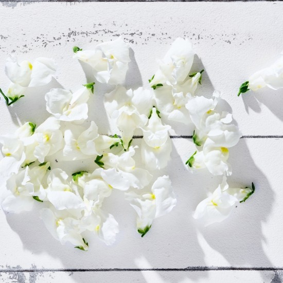 Çiçek Yenilebilir Aslan Ağzı Beyaz 20 adet 1 Paket