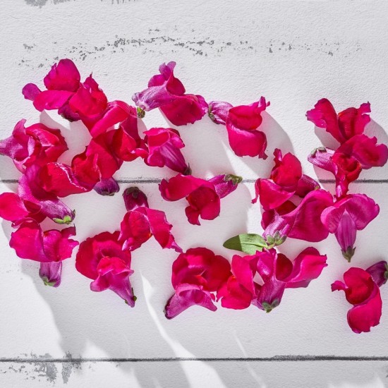 Çiçek Yenilebilir Aslan Ağzı Kırmızı 20 adet 1 Paket