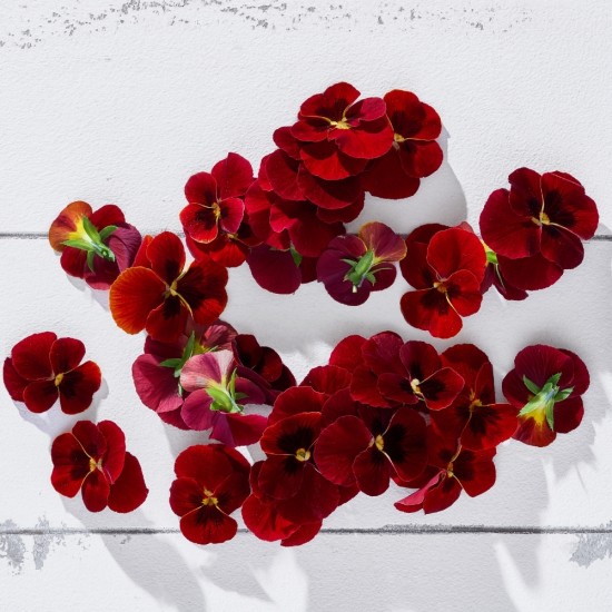 Çiçek Yenilebilir Menekşe Kırmızı (30 Ad/Pkt) 1 Paket