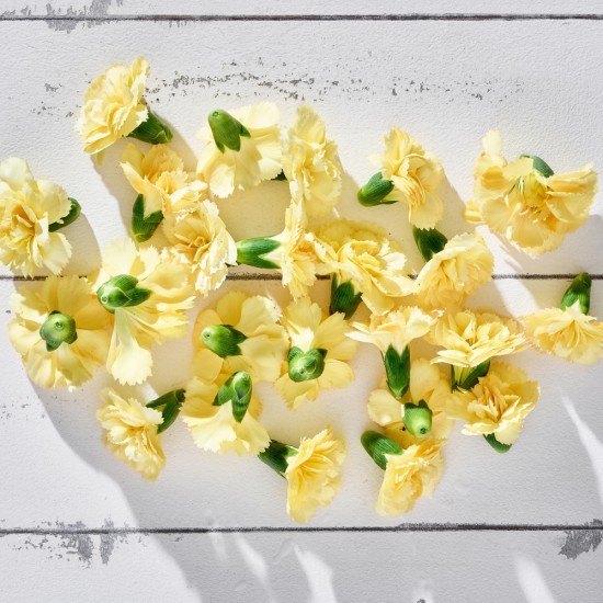 Çiçek Yenilebilir Karanfil Sarı 20 Adet 1 Paket