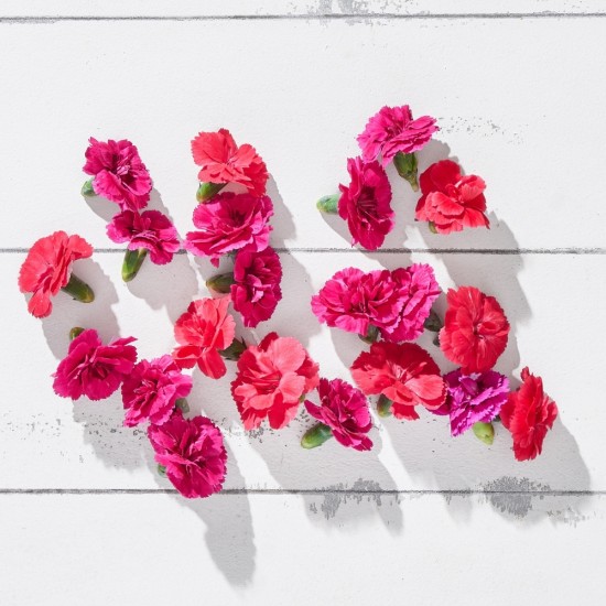 Çiçek Yenilebilir Karanfil Pembe 20 Adet 1 Paket