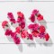 Çiçek Yenilebilir Karanfil Pembe 20 Adet 1 Paket