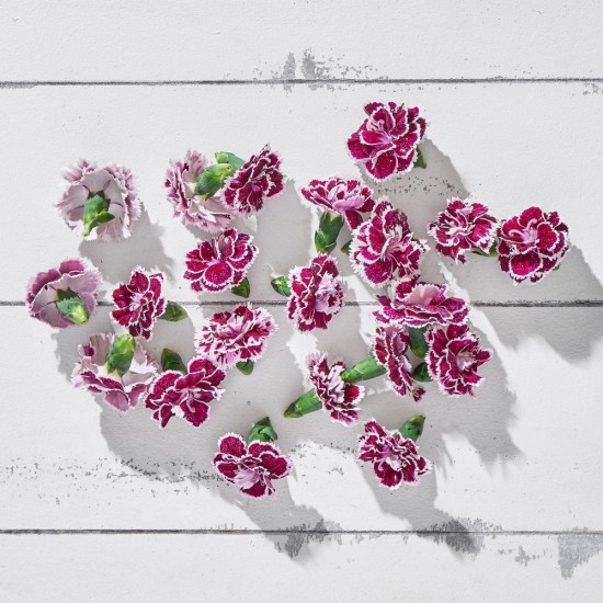 Çiçek Yenilebilir Karanfil Beyaz Alacalı 20 Adet 1 Paket