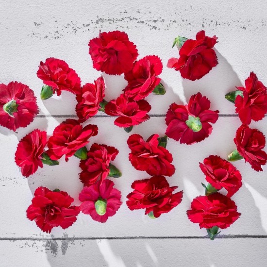 Çiçek Yenilebilir Karanfil Kırmızı 20 Adet 1 Paket