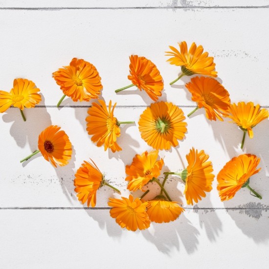 Çiçek Yenilebilir Aynısefa Turuncu 20 Adet 1 Paket