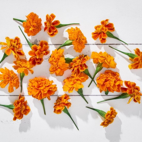 Çiçek Yenilebilir Kadife Turuncu 20 adet 1 Paket