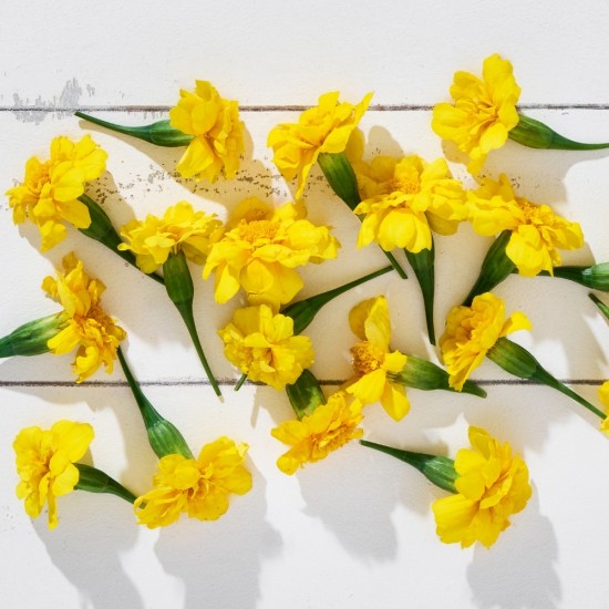 Çiçek Yenilebilir Aynısefa Sarı 20 Adet 1 Paket