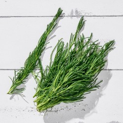 Zeytin Otu 25 gr 1 demet