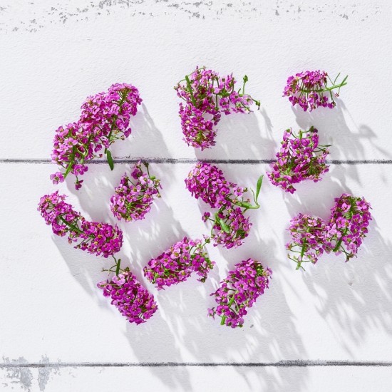 Çiçek Yenilebilir Alyssum Pembe 20 Adet 1 Paket