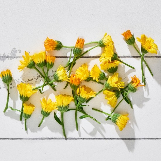 Çiçek Yenilebilir Aynısefa Karışık 20 Adet 1 Paket