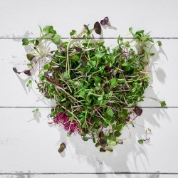 Mikrofiliz Micromix Yeşil 500 cc