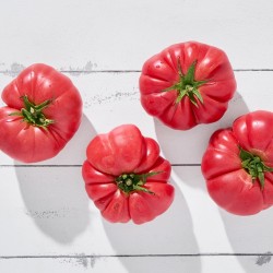 Domates Pembe Gül Büyük Boy 1 Kg