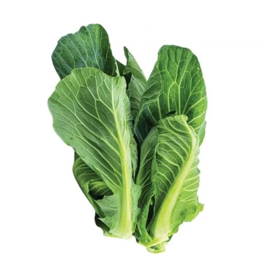 Cibes Otu Yeşil 500 gr