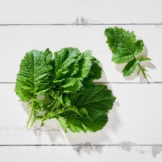 Wasabi Otu 10 adet 1 Paket