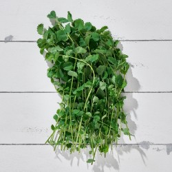Salad Burnet 25 gr 1 Paket