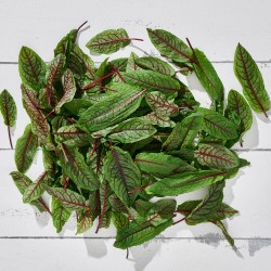 Kuzukulağı Kırmızı Normal 14-15 cm (50 gr/Pkt) 1 Paket