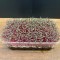 Mikrofiliz Tepsi Amaranth (8 ±5 g)