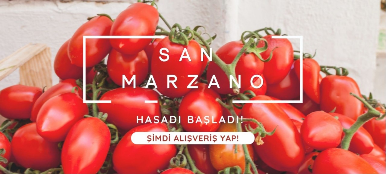San Marzano Hasadı Başladı