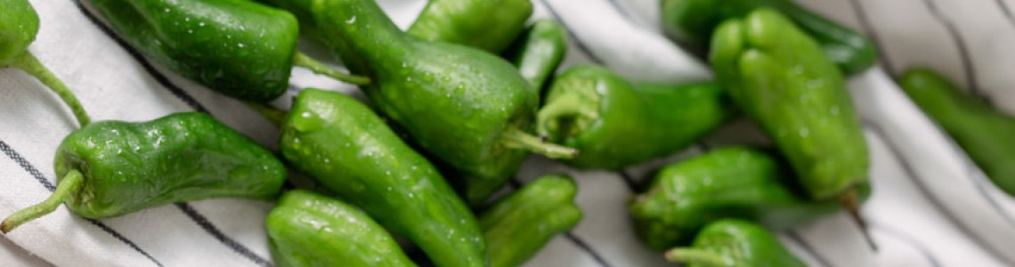 Padron Biberinin Faydaları Nelerdir?