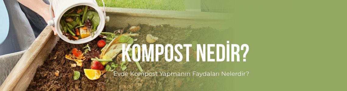 Kompost Nedir? Evde Kompost Yapmanın Faydaları Nelerdir?